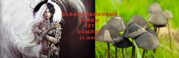 каннабис Баксан